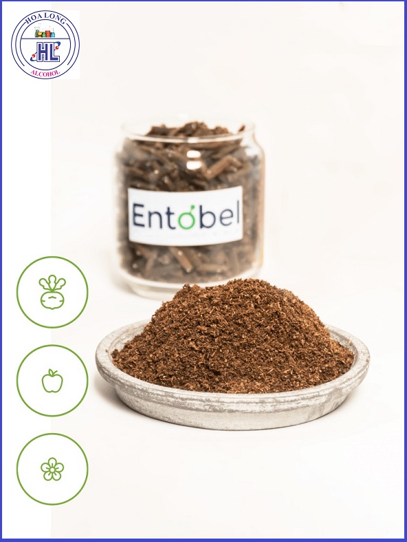 Entobel: startup Việt Nam sản xuất thức ăn chăn nuôi từ Ruồi linh đen top 3 thế giới